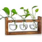 Vase  fleurs petits vases vintage pour la dcoration de table tubes  essai en verre modernes pour fleurs ...