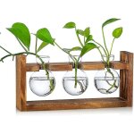 Vase à fleurs petits vases vintage pour la décoration de table tubes à essai en verre modernes pour fleurs ... Vase à fleurs petits vases vintage pour la décoration de table tubes à essai en verre modernes pour fleurs ...