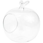 Vase hydroponique en verre forme de pomme conteneur d�coratif pour micro paysage et culture indoor maison ...