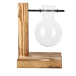 Vase de jardinire innovant avec support en bois vase de culture hydroponique en verre transparent dcoration ...