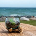 Vase verre souffl et racine teck, artisanal h 15 cm arizona