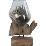 Vase verre souffl et racine teck, artisanal h 25 cm arizona