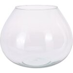 Vase en verre pour terrar Vase en verre pour terrar
