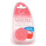 Vaseline parfum�e neutre 12 gr
