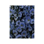 V�ronique gentiane godet de 8 / 9 cm