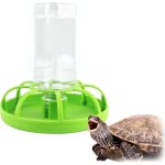 Vert abreuvoir pour reptiles, abreuvoir tortue, accessoire tortue terrestre, fontaines � boire en plastique ...