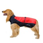 Vtement pluie rflchissant pour chien grande taille doublure coupe - vent
