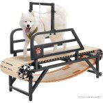 Vevor tapis de marche pour chiens de taille moyenne, capacite de charge 100 kg, tapis de course avec ... Vevor tapis de marche pour chiens de taille moyenne, capacite de charge 100 kg, tapis de course avec ...