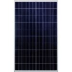 Victron energy - panneau photovoltaique 270 wc polycristallin victron