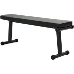Banc de poids pliable noir 109 x 29 x 42 cm acier vidaxl Banc de poids pliable noir 109 x 29 x 42 cm acier vidaxl