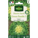 Chicor�e scarole grosse boucl�e 2 vilmorin