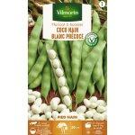Haricot nain  ecosser coco blanc prcoce vilmorin