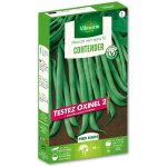 Haricot nain vert contender + chantillon oxinel 2 vilmorin