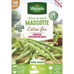 Haricot nain vert mascotte - 10 m vilmorin