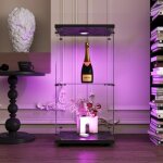 Vitrine en verre de scurit tremp avec clairage led, porte, 2 tagres, cadre en bois, serrures, cls, ...