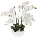 Wellhome - well home - pot à orchidées en céramique blanche h65 Wellhome - well home - pot à orchidées en céramique blanche h65