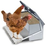 Wolketon mangeoire poules automatique 5kg ? distributeur en acier galvanis� avec p�dale auto - ouverte ...