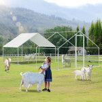 Wolketon poulailler 3�6�2 m ? enclos pour petits animaux, voli�re ext�rieure, cage � poules en acier ...