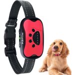 Ymyny - collier anti - aboiements rechargeable pour chiens, petit moyen  grand collier de dressage pour ...