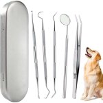 Zvd - 5 pi�ces avec bo�te - kit de nettoyage des dents de chien outils buccaux en acier inoxydable outils ...