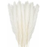 Zvd - bouquet de fleurs de la pampa - 30 pcs, 58 cm, décoration boho Zvd - bouquet de fleurs de la pampa - 30 pcs, 58 cm, décoration boho