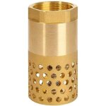 Zvd - clapet anti - retour pompe 1 pouce - clapet de pied clapet crepine anti retour (1 pouce)