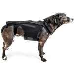Zvd - orthse dorsale (taille l) pour petits chiens, arthrite, rcupration aprs chirurgie de la colonne ...