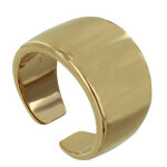 Les poulettes bijoux - bague plaqu� or anneau large