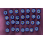 1 valise pour jeu clu�do edition luxe