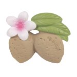 Anneau de dentition jouet de bain amande aly - oli & carol