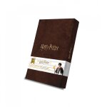 Cartes a jouer coffret collector harry potter - 8 jeux de 54 cartes