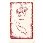 Carte prou pour completer votre jeu risk la conqute du monde.