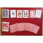 Cartes texan no45 palmetto bleues (poker playing cards, magie, cardistry, collection)