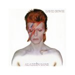 David bowie - puzzle rock saws aladdin sane (500 pices)