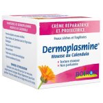 Dermoplasmine - boiron dermoplasmine mousse au calendula 20 g