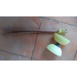 Diabolo Diabolo
