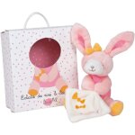 Doudou lapin rose et son mouchoir petit model eclats de rire et sourires baby nat / babynat