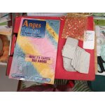 Livre et jeu de cartes anges et d�mons n 9782883430754