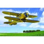 Maquette avion : beechcraft d17s - roden