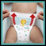 Pampers baby - dry pants couches - culottes taille 3. 94 culottes