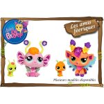 Petshop les amis feeriques