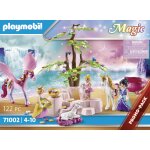 Playmobil 71002 - cal�che royale cheval