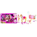 Realite barbie - coffret toilettage des chevaux, poupe incluse - accessoire poupe mannequin - ds 3 ...