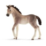 Schleich horse club poulain andalou
