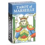 Vert clair - mini cartes de tarot oracle, jeux de soci�t� avec guide d'astrologie pour chat