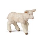 La vie a la ferme agneau