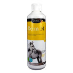 Derm 14 - dermite cheval