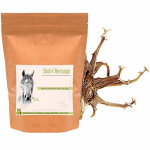 Harpago cheval - arthrose cheval