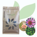 Phyto immun - stimuler naturellement le système immunitaire Phyto immun - stimuler naturellement le système immunitaire