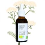 Alcoolature d'achille millefeuille - achillea millefolium - flacon de 50ml